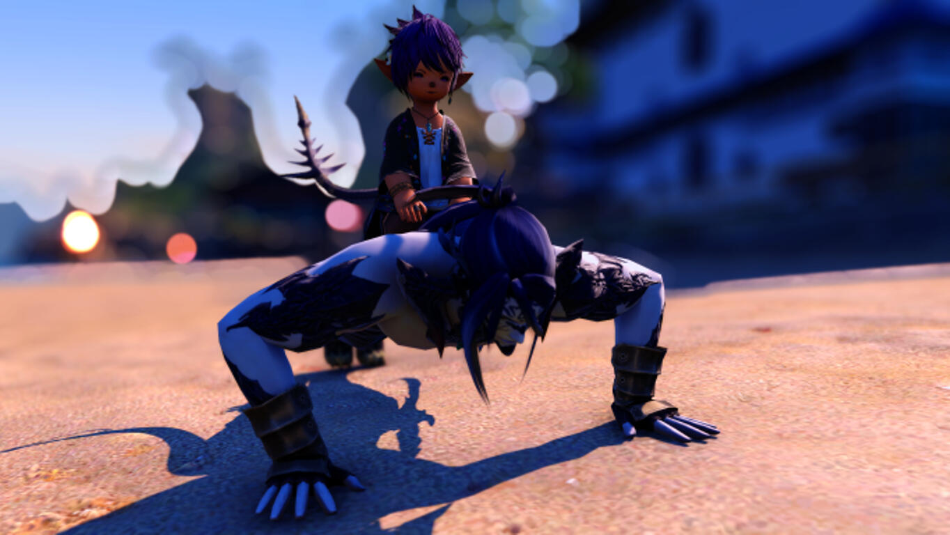 Xel likes to help me work out!